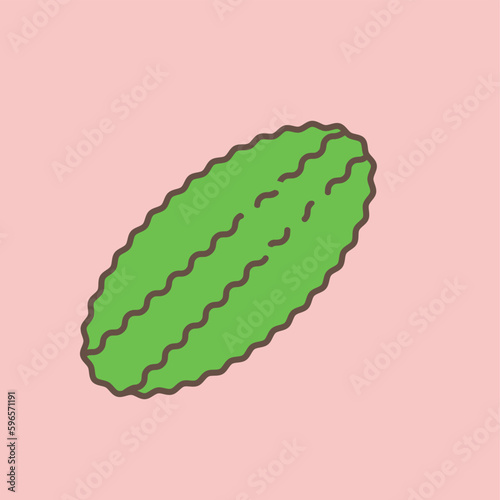 Gourd icon. Vegetable vector illustration on pink background.