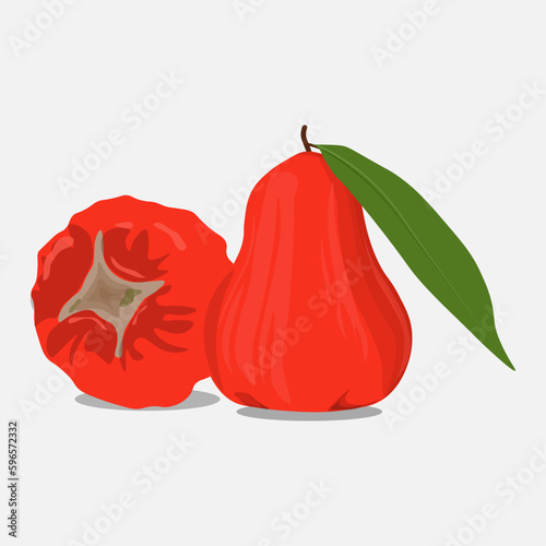 Rose apple fruit with green leaf isolated on white background. vector illustration. photo