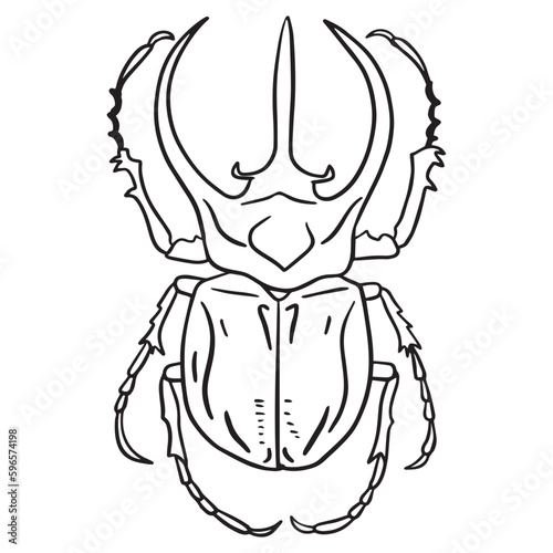 Beetle insect outline art ,good for graphic design resources, posters, banners, templates, prints, coloring books and more.