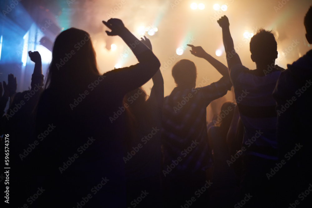Lights, energy and people dancing at music festival from back, night and silhouette at live concert event. Dance, fun and group of excited fans in arena at rock band performance or crowd at party.