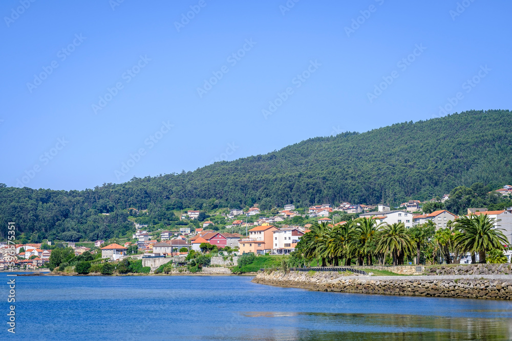 View of the Atlantic coast in Galicia (Spain) with numerous palm trees in the foreground and a eucalyptus forest in the background, an invasive species.