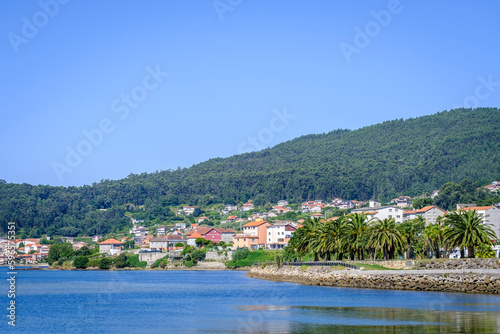 View of the Atlantic coast in Galicia (Spain) with numerous palm trees in the foreground and a eucalyptus forest in the background, an invasive species.