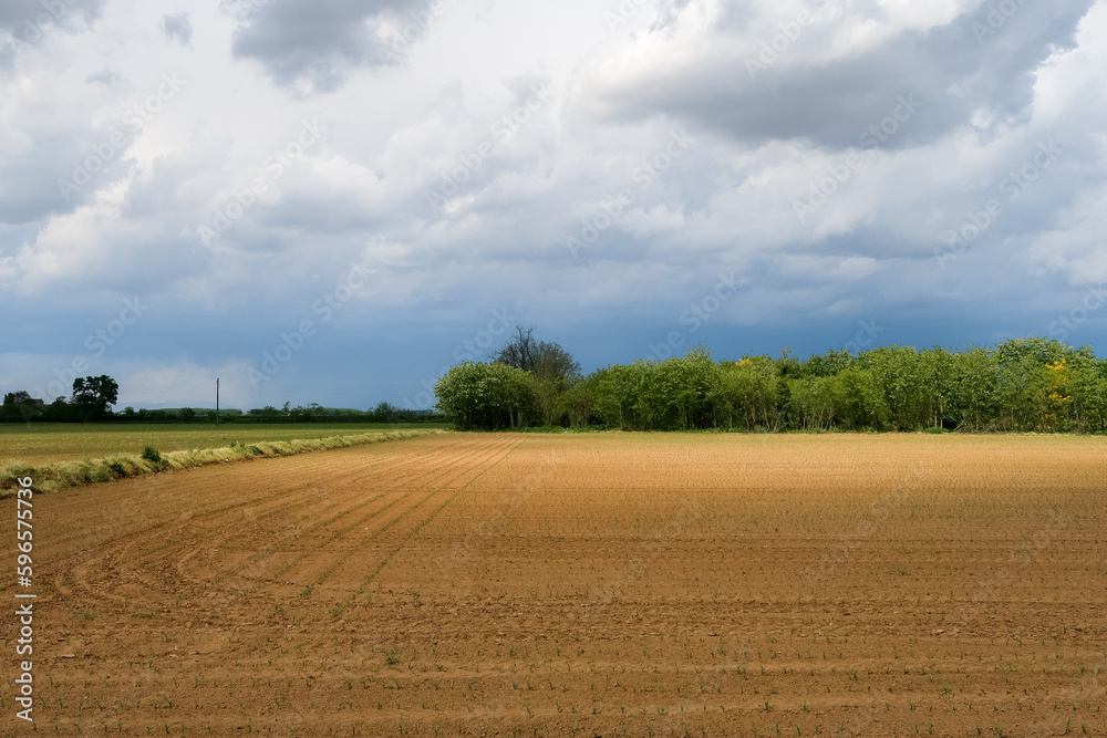 Po Valley landscape field cultivation nature natural agriculture farmhouse tree earth