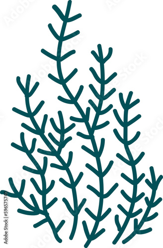 Fototapeta Naklejka Na Ścianę i Meble -  Cute hand drawn seaweed.