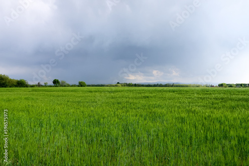 Po Valley landscape field cultivation nature natural agriculture farmhouse tree earth © Samuele Gallini