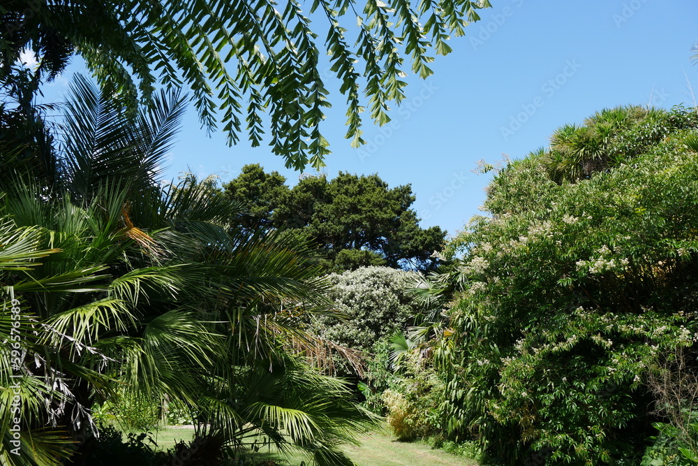 Tropischer Park im Botanischen Garten Auckland