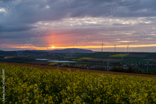 rapeseed, wind turbines and sunset