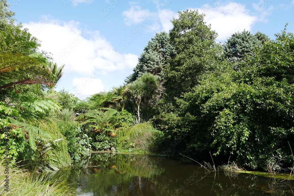 See und Tropische Pflanzen Botanischer Garten Auckland