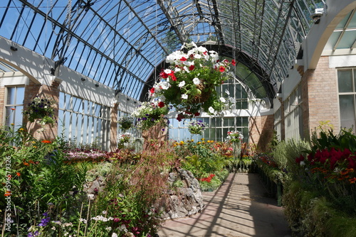 Historisches Gew  chshaus Wintergarden Auckland Domain