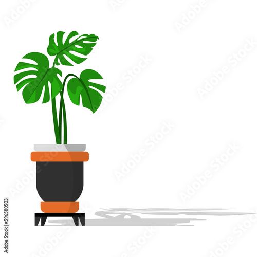 Philodendron giganteum plant in pot on white background, Cute houseplant leaves to purify air, vector illustration