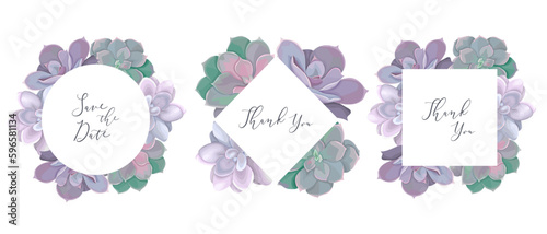 A set of vector holiday frames. Juicy succulents, frames. 