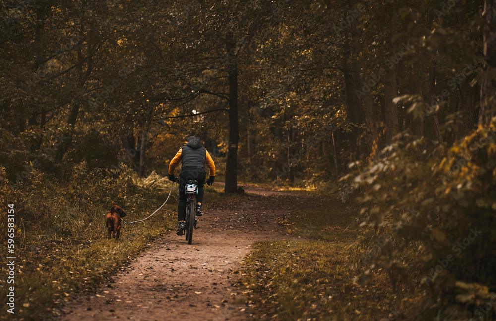 Cycling with dog in a public park