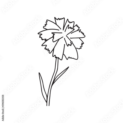 Single carnations flowers. Hand drawn doodle vector illustration isolated. Victory Day Russian holiday 9 may symbol flowers.Vector template for typography poster, greeting card, banner, coloring page