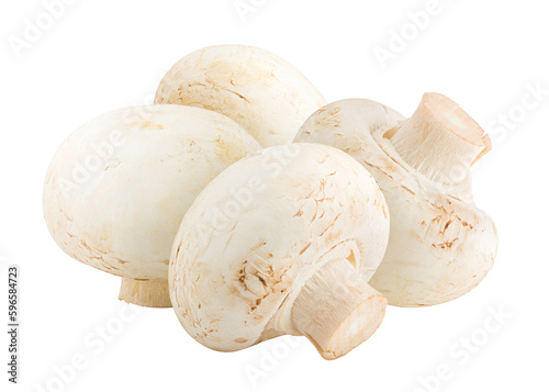 mushroom, champignon, isolated on white background, full depth of field