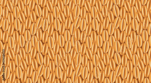 Cereal grains pattern background. Wheat, rye or barley. Wrapping paper for bread. Vector illustration.