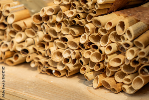 closeup of mason bees nesting site, reeds © Dmytro