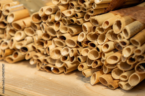 closeup of mason bees nesting site, reeds