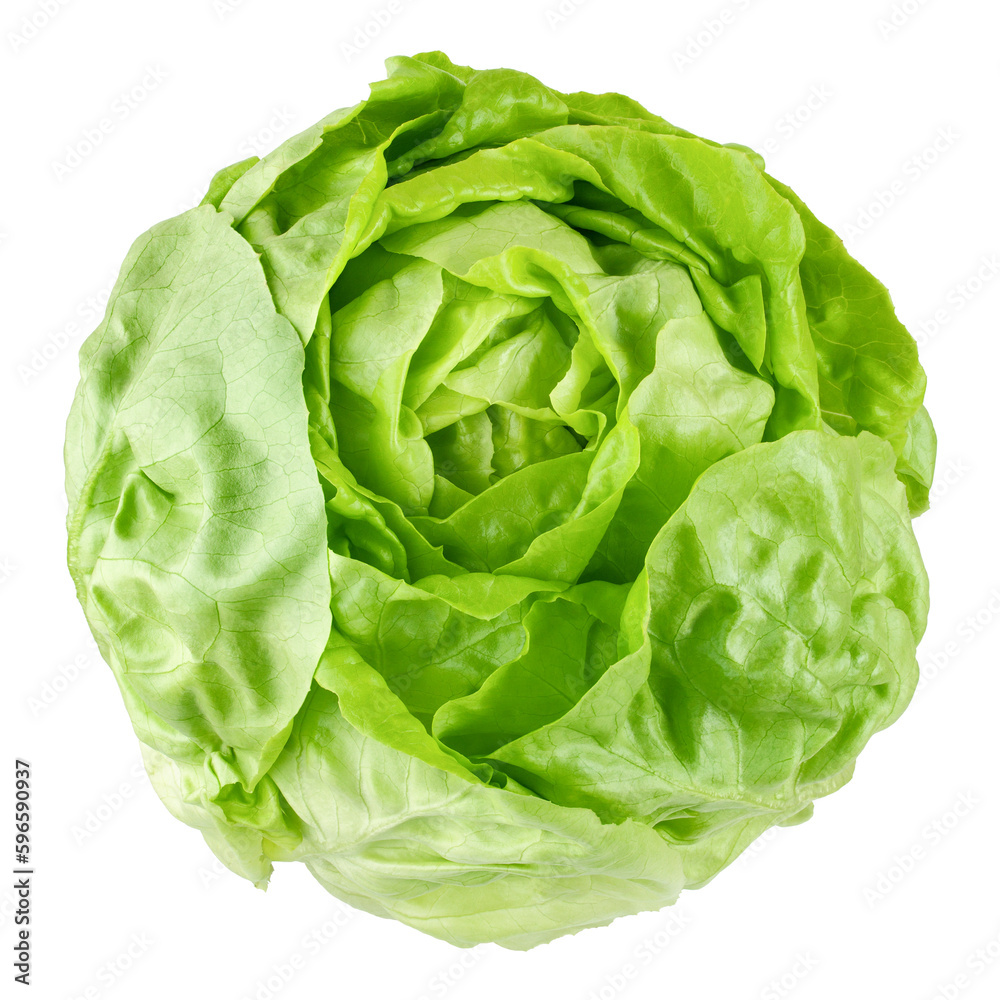 salad, lettuce, isolated on white background, full depth of field salad, lettuce, isolated on white background, full depth of field