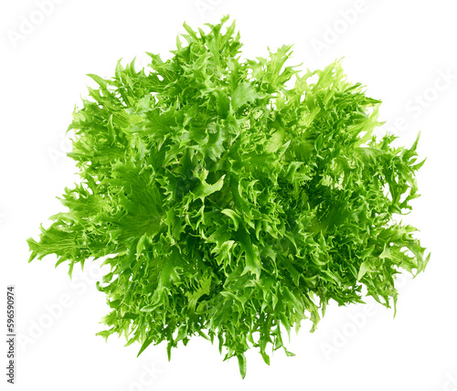 frisee, frieze, salad, lettuce, isolated on white background, full depth of field photo