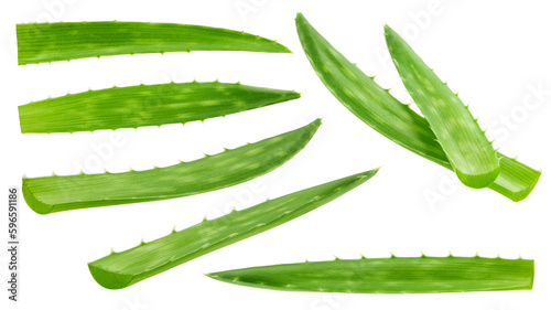 Aloe vera, slice, isolated on white background, full depth of field