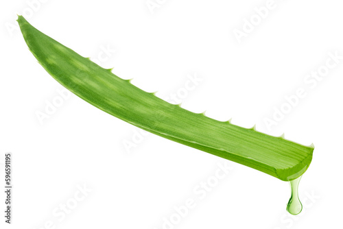 Aloe vera, slice, isolated on white background, full depth of field