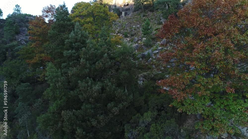 Couple Walking in Nature Aerial View Couple Walking in Nature Aerial View