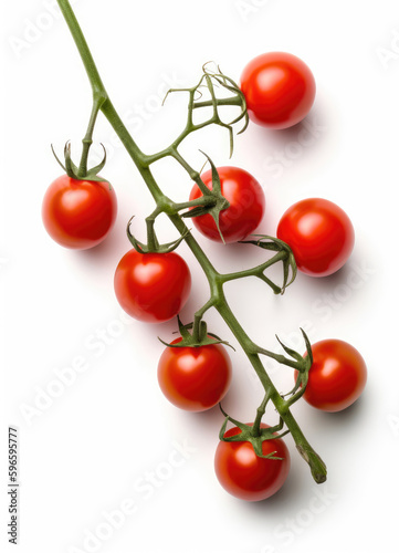 Red cherry tomatoes on a twig