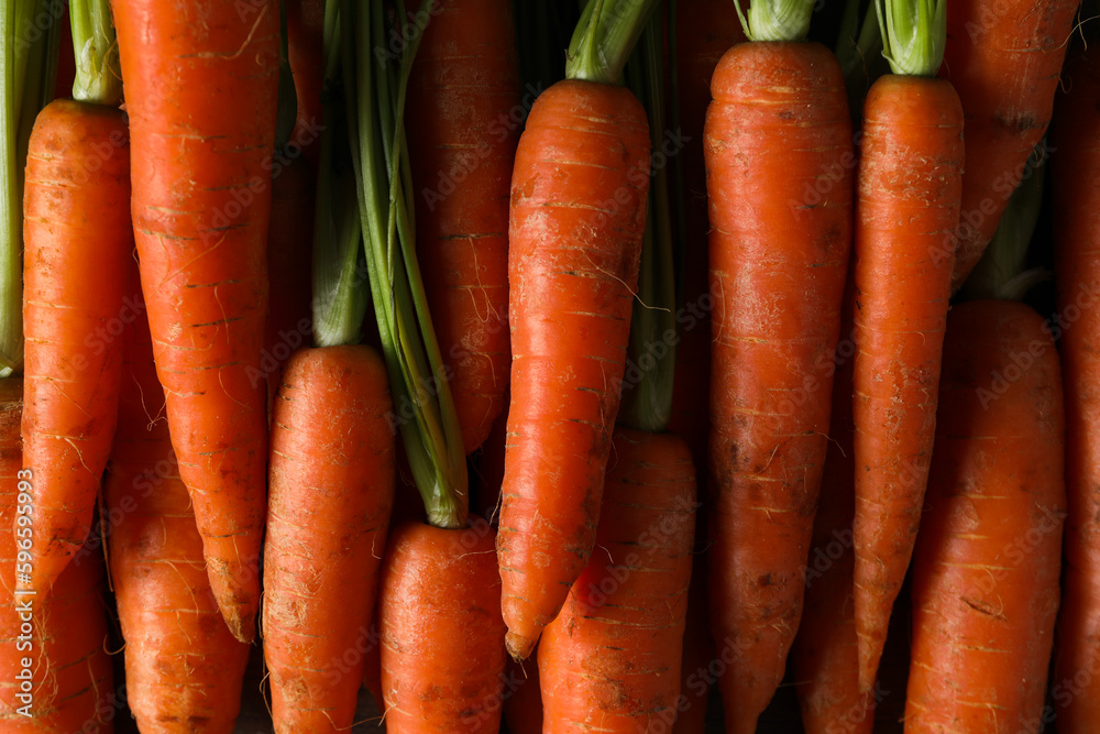 Fresh carrot on whole background, concept of harvest Fresh carrot on whole background, concept of harvest