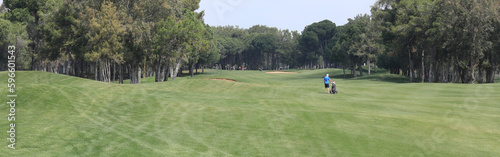 panorama green golf course with forest