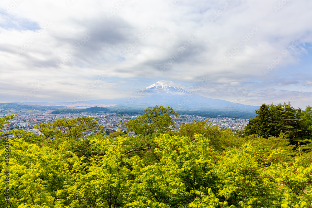 新倉山から望む、冠雪した富士山