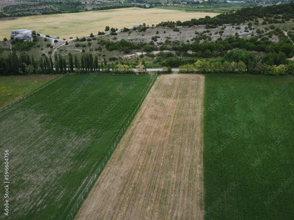 Aerial viev of lush green farm field with rocky cliffs in the distance. beauty of rural areas and the agricultural process. Aerial viev of lush green farm field with rocky cliffs in the distance. beauty of rural areas and the agricultural process.