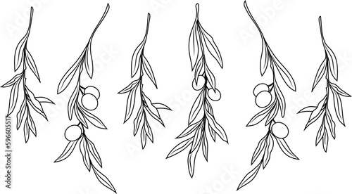 Olive line set. Vector branch. Graphic monochrome collection of isolates on white background. Organic food, bio oil.