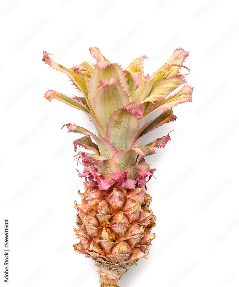 Decorative pineapple on white background, closeup