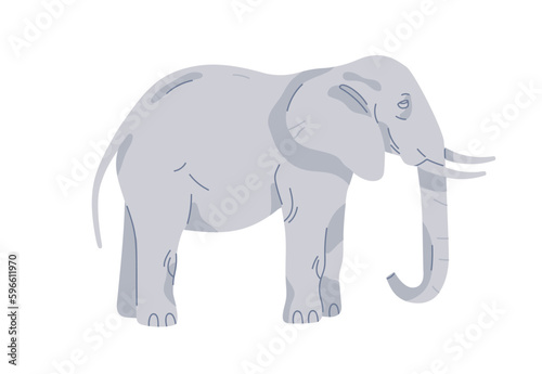 Elephant, large strong African animal. Wild huge great Asian mammal standing with tusks and trunk, side view, profile. Zoology, flat vector illustration isolated on white background