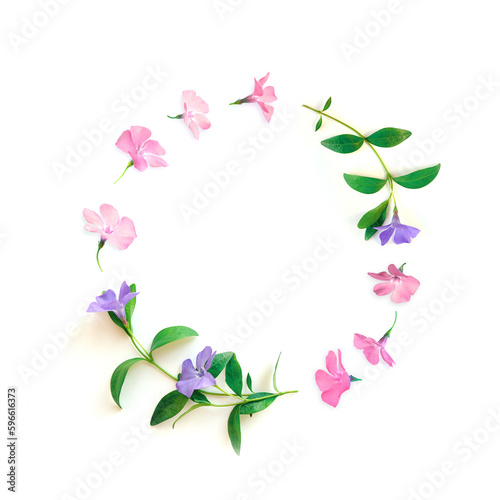 frame from blue and pink flower buds, branches and leaves isolated on white background