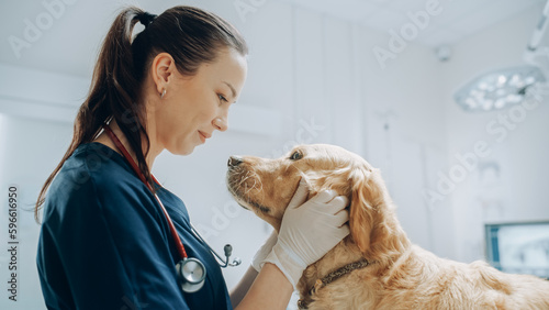 Beautiful Female Veterinarian Petting a Noble Golden Retriever Dog. Healthy Pet on a Check Up Visit in Modern Veterinary Clinic with Happy Caring Doctor photo