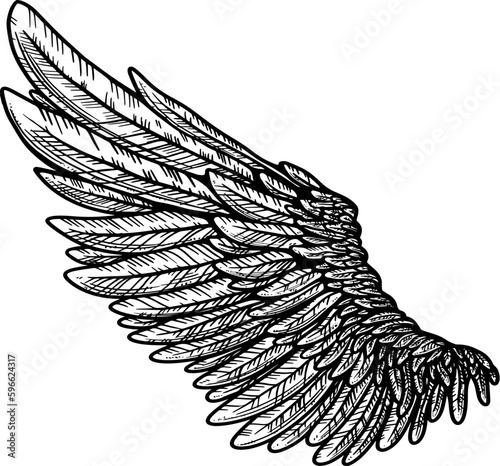 Vector tattoo style eagle wing illustration