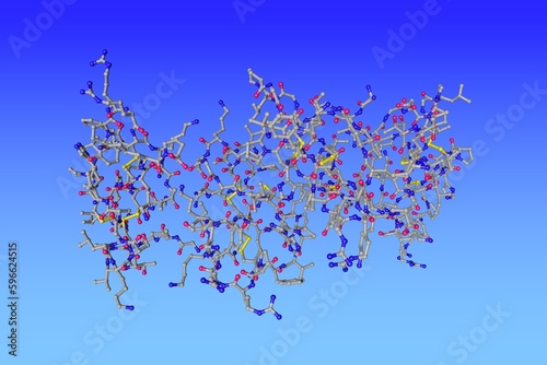 Human beta-defensin-2. Molecular model on blue background. Rendering based on protein data bank entry 1fd3. Scientific background. 3d illustration