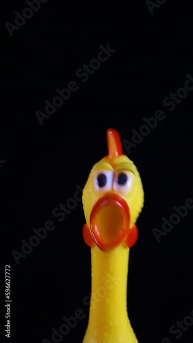 vertical video of rubber chicken dark background