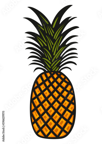Pineapple tropical fruit icon isolated
