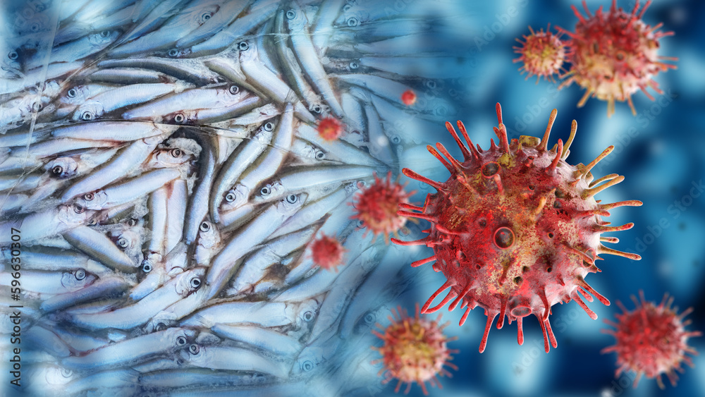Foto de Infected fish. Virus molecules. Bacteria near seafood. Fish