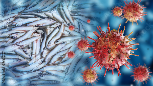 Infected fish. Virus molecu...