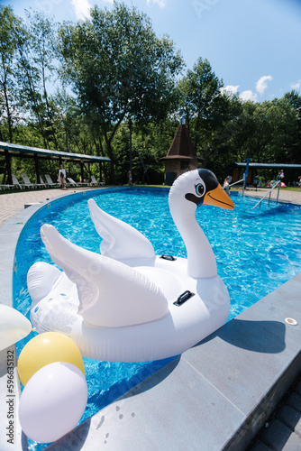 Inflatable white swan in swimming pool. Preparation for summer party