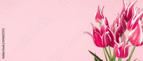 Beautiful composition spring flowers. Bouquet of pink tulips flowers on pink background. Valentine's Day, Easter, Birthday, Happy Women's Day, Mother's Day. Flat lay, top view, copy space. banner