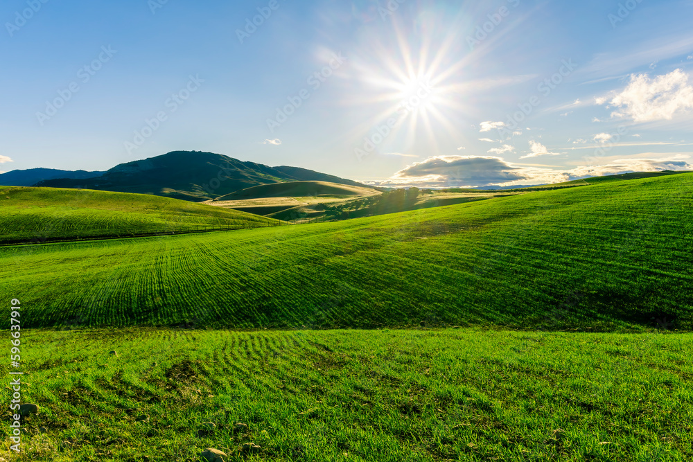 Scenic view at beautiful spring sunset in a green shiny field with green grass and golden sun rays, deep blue cloudy sky on a background , forest and country road, summer valley landscape Scenic view at beautiful spring sunset in a green shiny field with green grass and golden sun rays, deep blue cloudy sky on a background , forest and country road, summer valley landscape