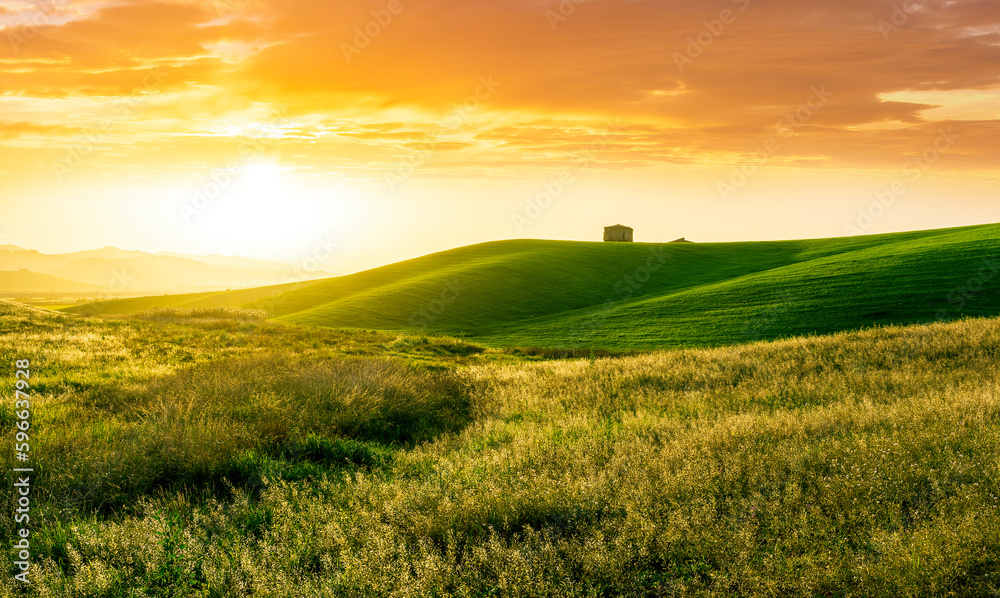 green field in countryside at sunset in the evening light. beautiful spring landscape in the mountains. grassy field and hills. rural scenery