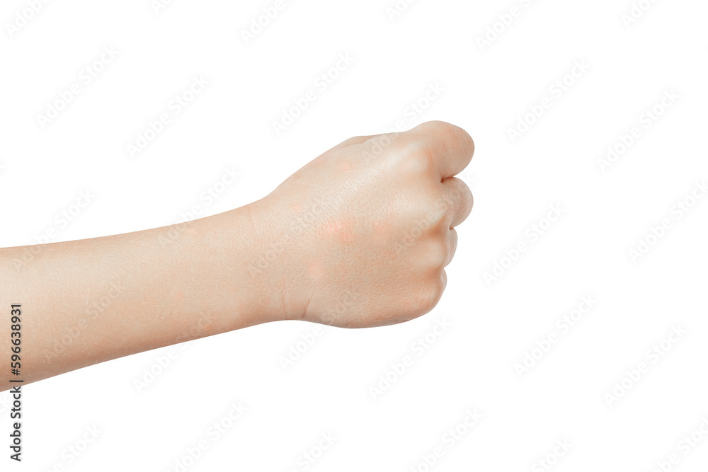 Fist of Unity: Powerful Hand Gesture Symbolizing Strength, Resistance and Social Justice Fist of Unity: Powerful Hand Gesture Symbolizing Strength, Resistance and Social Justice