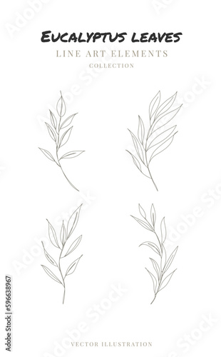 One line drawing of eucalyptus leaves. Hand drawn floral elements line art.