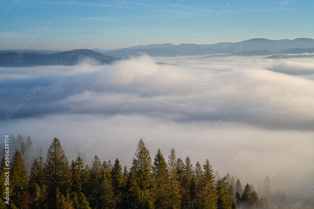 Scenic view of the mountains over a clouds, amazing misty landscape with mountain range, fir forest and blue sky, natural outdoor travel background