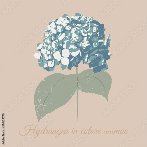 Vintage Flower Hydrangea on beige background 